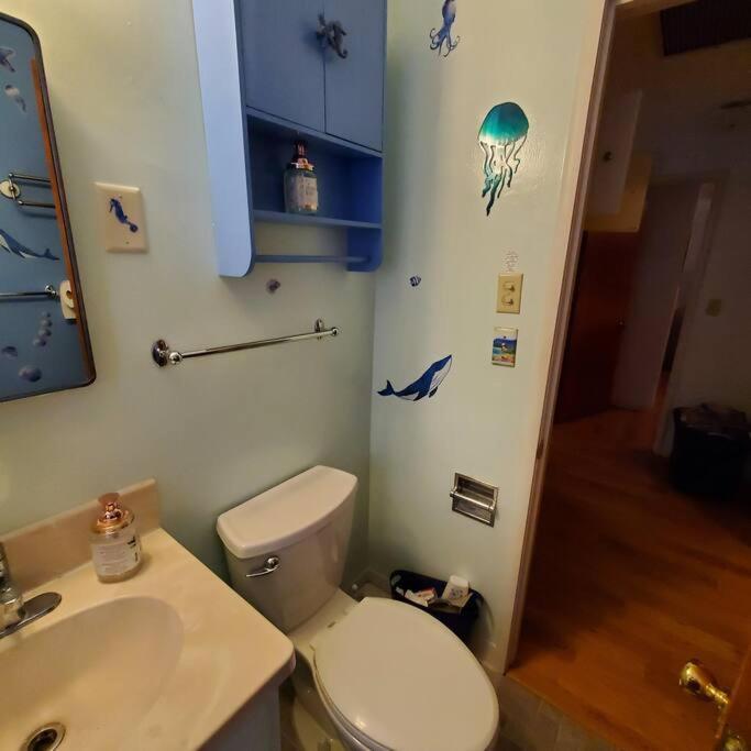Sweet 2 Bedroom Close To U Of Oregon & Track! Eugene Exterior photo